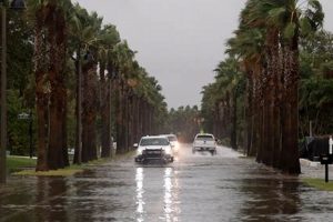 Tennessee's Natural Disaster Risks & Preparedness Disaster Information Hub – Latest Natural Disaster News & Emergency Resources Tennessee's Natural Disaster Risks & Preparedness | Disaster Information Hub – Latest Natural Disaster News & Emergency Resources