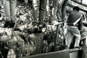 Oregon's Hillsboro Bridge Disaster: A Tragic Flood Disaster Information Hub – Latest Natural Disaster News & Emergency Resources Oregon's Hillsboro Bridge Disaster: A Tragic Flood | Disaster Information Hub – Latest Natural Disaster News & Emergency Resources