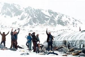 Andes Flight Disaster: Survivors' True Story Disaster Information Hub – Latest Natural Disaster News & Emergency Resources Andes Flight Disaster: Survivors' True Story | Disaster Information Hub – Latest Natural Disaster News & Emergency Resources