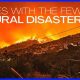 Safest US State: Fewest Natural Disasters? | Disaster Information Hub – Latest Natural Disaster News & Emergency Resources
