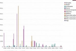 Reducing Natural Disaster Deaths: A Global Priority Disaster Information Hub – Latest Natural Disaster News & Emergency Resources Reducing Natural Disaster Deaths: A Global Priority | Disaster Information Hub – Latest Natural Disaster News & Emergency Resources