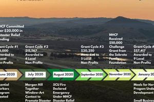 Applying for Individual Disaster Relief Grants | Disaster Information Hub – Latest Natural Disaster News & Emergency Resources