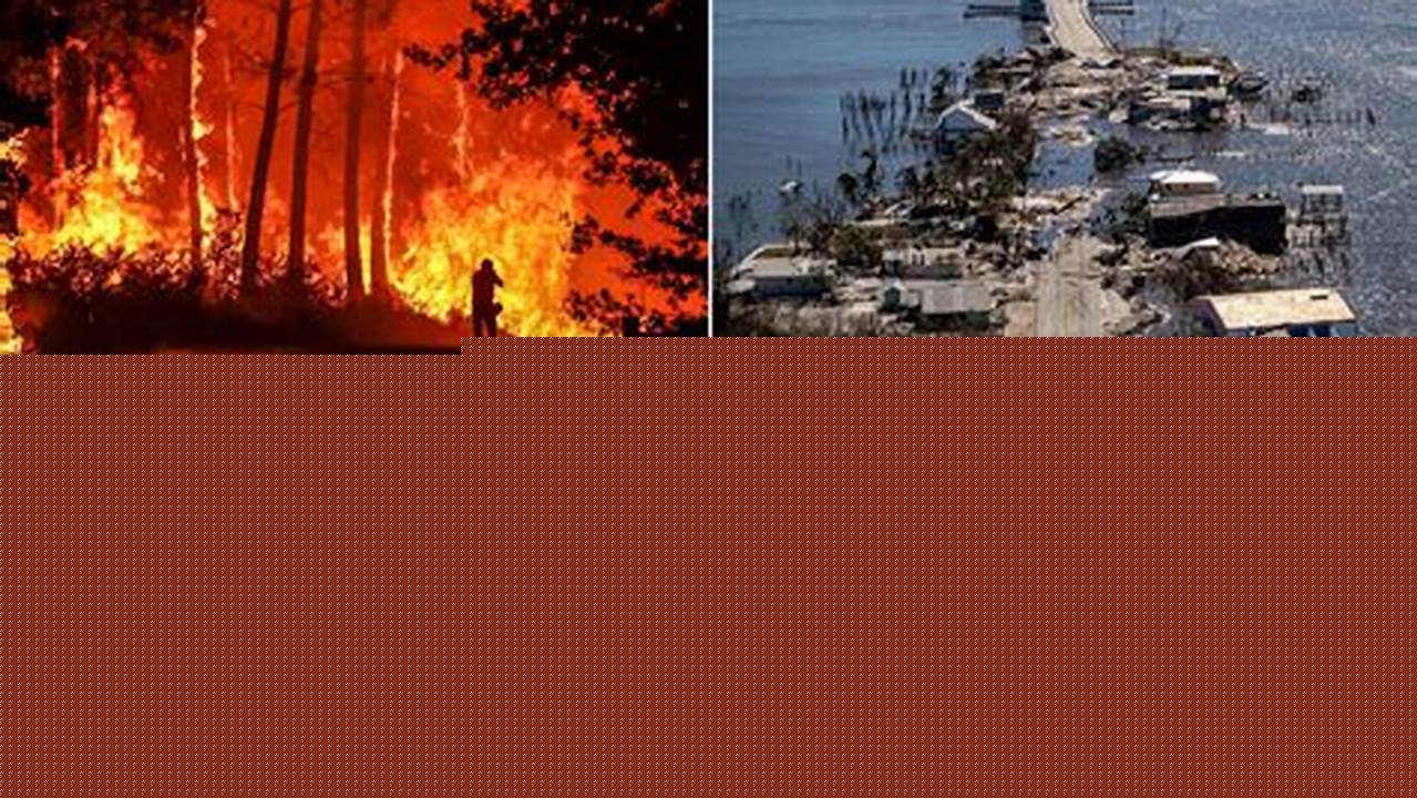 Worst Oil Spill Disasters: Causes & Impacts | Disaster Information Hub – Latest Natural Disaster News & Emergency Resources