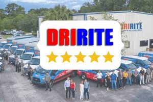 Dririte: Expert Disaster Restoration Services | Disaster Information Hub – Latest Natural Disaster News & Emergency Resources