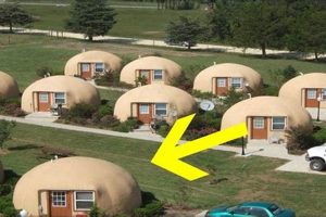 Ultimate Disaster-Proof Housing Guide | Disaster Information Hub – Latest Natural Disaster News & Emergency Resources