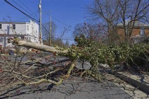 Virginia Natural Disasters: Guide &amp; Resources | Disaster Information Hub – Latest Natural Disaster News & Emergency Resources