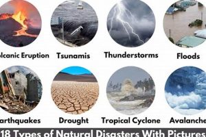 Understanding Natural Disaster Types &amp; Mitigation | Disaster Information Hub – Latest Natural Disaster News & Emergency Resources