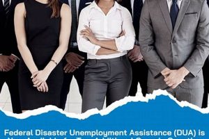 Georgia Disaster Unemployment Assistance Guide Disaster Information Hub – Latest Natural Disaster News & Emergency Resources Georgia Disaster Unemployment Assistance Guide | Disaster Information Hub – Latest Natural Disaster News & Emergency Resources