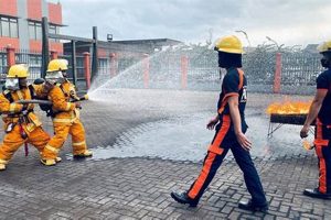 Pro Fire & Rescue: Emergency Disaster Response Guide | Disaster Information Hub – Latest Natural Disaster News & Emergency Resources