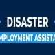 NC Disaster Unemployment Guide &amp; Resources | Disaster Information Hub – Latest Natural Disaster News & Emergency Resources