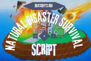 Effective Natural Disaster Script Writing & Examples | Disaster Information Hub – Latest Natural Disaster News & Emergency Resources