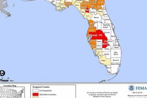 Florida Disaster Area Guide: Help & Resources | Disaster Information Hub – Latest Natural Disaster News & Emergency Resources