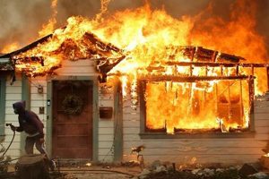 Fire Disasters: Prevention & Recovery Guide | Disaster Information Hub – Latest Natural Disaster News & Emergency Resources