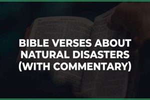 Finding Solace: Scripture for Natural Disasters & Recovery Disaster Information Hub – Latest Natural Disaster News & Emergency Resources Finding Solace: Scripture for Natural Disasters & Recovery | Disaster Information Hub – Latest Natural Disaster News & Emergency Resources