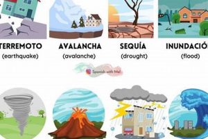 Spanish Words for Natural Disasters: A Guide Disaster Information Hub – Latest Natural Disaster News & Emergency Resources Spanish Words for Natural Disasters: A Guide | Disaster Information Hub – Latest Natural Disaster News & Emergency Resources