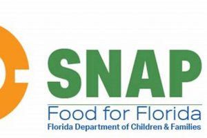 Modeling a DCF Disaster Snap: Financial Impact Analysis Disaster Information Hub – Latest Natural Disaster News & Emergency Resources Modeling a DCF Disaster Snap: Financial Impact Analysis | Disaster Information Hub – Latest Natural Disaster News & Emergency Resources