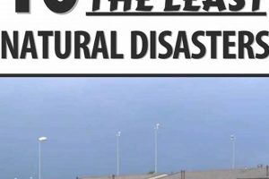 Safest Cities: Least Natural Disaster Zones Disaster Information Hub – Latest Natural Disaster News & Emergency Resources Safest Cities: Least Natural Disaster Zones | Disaster Information Hub – Latest Natural Disaster News & Emergency Resources