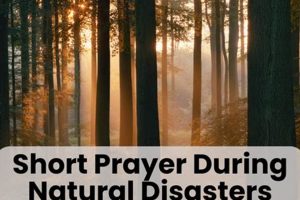 A Simple Prayer for Disaster Relief & Recovery Disaster Information Hub – Latest Natural Disaster News & Emergency Resources A Simple Prayer for Disaster Relief & Recovery | Disaster Information Hub – Latest Natural Disaster News & Emergency Resources