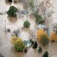 PA Natural Disaster Guide & Preparedness | Disaster Information Hub – Latest Natural Disaster News & Emergency Resources