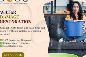 Pro ECOS Environmental & Disaster Restoration Experts Disaster Information Hub – Latest Natural Disaster News & Emergency Resources Pro ECOS Environmental & Disaster Restoration Experts | Disaster Information Hub – Latest Natural Disaster News & Emergency Resources