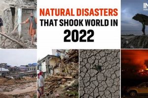 Recent Global Natural Disasters: A 2023 Overview Disaster Information Hub – Latest Natural Disaster News & Emergency Resources Recent Global Natural Disasters: A 2023 Overview | Disaster Information Hub – Latest Natural Disaster News & Emergency Resources