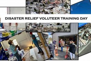 Become a Disaster Relief Volunteer: Get Trained Today | Disaster Information Hub – Latest Natural Disaster News & Emergency Resources