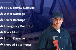 Top Disaster Restoration Companies in Houston, TX Disaster Information Hub – Latest Natural Disaster News & Emergency Resources Top Disaster Restoration Companies in Houston, TX | Disaster Information Hub – Latest Natural Disaster News & Emergency Resources