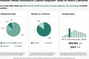 Expert Disaster Claims Adjuster Services Disaster Information Hub – Latest Natural Disaster News & Emergency Resources Expert Disaster Claims Adjuster Services | Disaster Information Hub – Latest Natural Disaster News & Emergency Resources