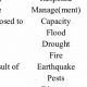 Disaster Synonyms: Exploring Calamity & Catastrophe | Disaster Information Hub – Latest Natural Disaster News & Emergency Resources
