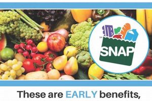Louisiana Disaster Food Stamps: Guide & Access Disaster Information Hub – Latest Natural Disaster News & Emergency Resources Louisiana Disaster Food Stamps: Guide & Access | Disaster Information Hub – Latest Natural Disaster News & Emergency Resources