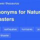 Ultimate Guide to Natural Disaster Synonyms | Disaster Information Hub – Latest Natural Disaster News & Emergency Resources