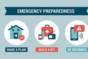 Ultimate Disaster Prep Guide: Stay Safe & Ready | Disaster Information Hub – Latest Natural Disaster News & Emergency Resources