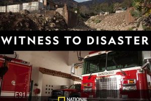 A Disaster Witness: Stories & Survival Disaster Information Hub – Latest Natural Disaster News & Emergency Resources A Disaster Witness: Stories & Survival | Disaster Information Hub – Latest Natural Disaster News & Emergency Resources