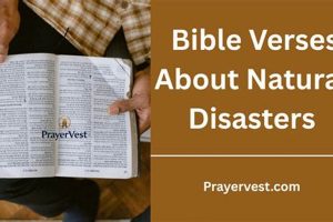 Biblical Accounts of Natural Disasters & Their Meaning | Disaster Information Hub – Latest Natural Disaster News & Emergency Resources
