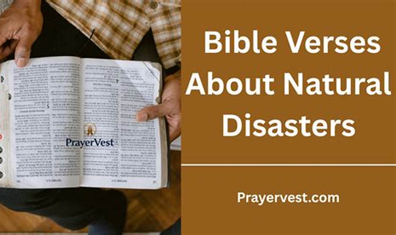 Biblical Accounts of Natural Disasters & Their Meaning Disaster Information Hub – Latest Natural Disaster News & Emergency Resources Biblical Accounts of Natural Disasters & Their Meaning | Disaster Information Hub – Latest Natural Disaster News & Emergency Resources