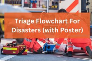 Effective Disaster Triage: Saving Lives | Disaster Information Hub – Latest Natural Disaster News & Emergency Resources