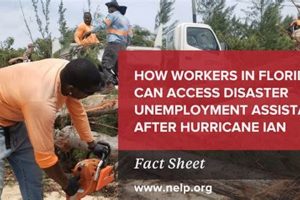 Claim Florida Disaster Unemployment Benefits Now | Disaster Information Hub – Latest Natural Disaster News & Emergency Resources