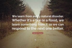 Profound Disaster Quotes: Words of Grief & Resilience | Disaster Information Hub – Latest Natural Disaster News & Emergency Resources