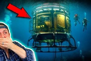 Preparing for Caribbean Disaster: A Guide | Disaster Information Hub – Latest Natural Disaster News & Emergency Resources