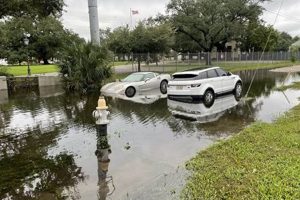 Louisiana Disaster 2024: Prep & Recovery Guide | Disaster Information Hub – Latest Natural Disaster News & Emergency Resources