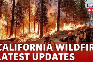 Preparing for California Disasters in 2024 | Disaster Information Hub – Latest Natural Disaster News & Emergency Resources