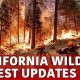 Preparing for California Disasters in 2024 | Disaster Information Hub – Latest Natural Disaster News & Emergency Resources