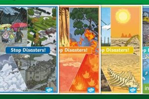How to Prevent & Stop Disasters Effectively | Disaster Information Hub – Latest Natural Disaster News & Emergency Resources