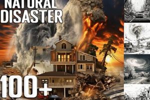Collecting Disaster Stamps: History & Hope | Disaster Information Hub – Latest Natural Disaster News & Emergency Resources