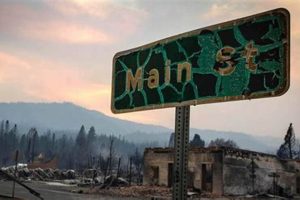 Check If You Took a Qualified Disaster Distribution | Disaster Information Hub – Latest Natural Disaster News & Emergency Resources