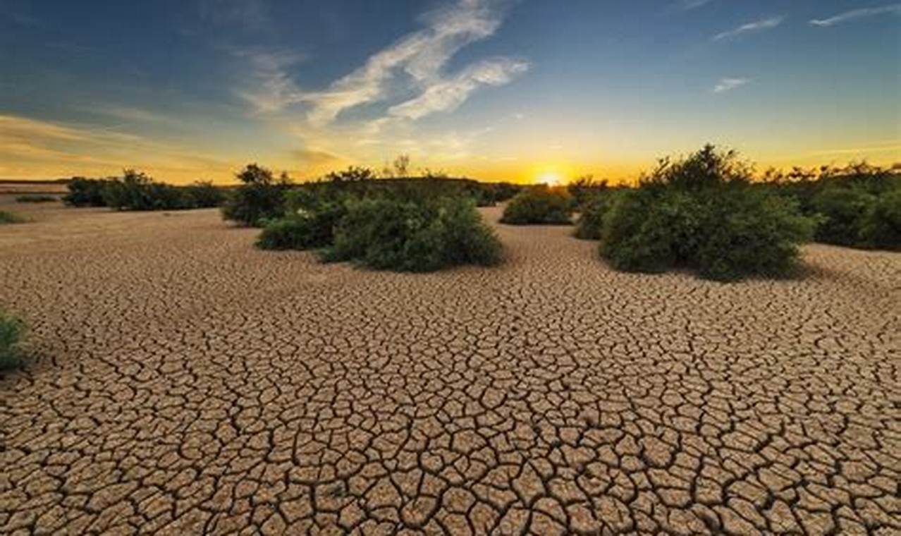 Combating Drought: A Natural Disaster Survival Guide | Disaster Information Hub – Latest Natural Disaster News & Emergency Resources