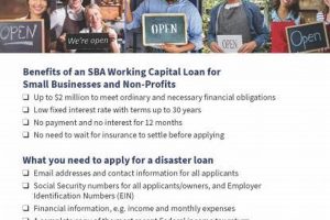 Get EIDL Disaster Loan Assistance Now | Disaster Information Hub – Latest Natural Disaster News & Emergency Resources