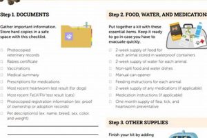 Ultimate Pet Disaster Preparedness Guide | Disaster Information Hub – Latest Natural Disaster News & Emergency Resources