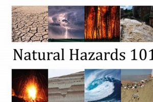 Understanding Natural Hazard & Disaster Risks | Disaster Information Hub – Latest Natural Disaster News & Emergency Resources