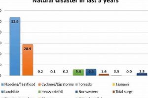 Top Natural Disasters: 2019-2023 Report | Disaster Information Hub – Latest Natural Disaster News & Emergency Resources